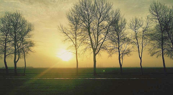 Gezicht op Flevoland