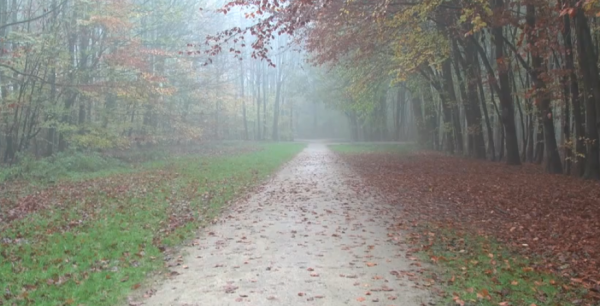 Het beste van Flevoland editie Dronten